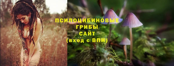 кокс Армянск