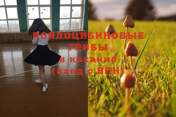герыч Арсеньев
