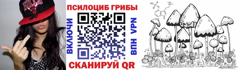 Псилоцибиновые грибы ЛСД  omg как войти  Озёры  даркнет сайт 